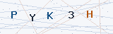 Security Verification Captcha