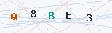 Security Verification Captcha