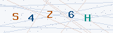 Security Verification Captcha