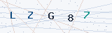 Security Verification Captcha