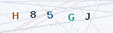Security Verification Captcha