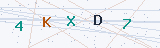 Security Verification Captcha