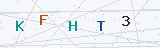 Security Verification Captcha