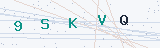 Security Verification Captcha