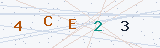 Security Verification Captcha