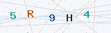 Security Verification Captcha