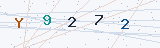 Security Verification Captcha