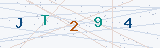 Security Verification Captcha