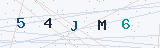 Security Verification Captcha