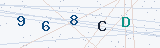 Security Verification Captcha