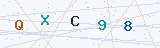 Security Verification Captcha