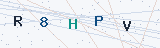 Security Verification Captcha