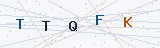 Security Verification Captcha