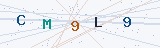 Security Verification Captcha