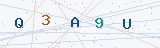 Security Verification Captcha