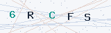 Security Verification Captcha