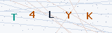 Security Verification Captcha
