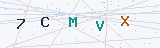 Security Verification Captcha
